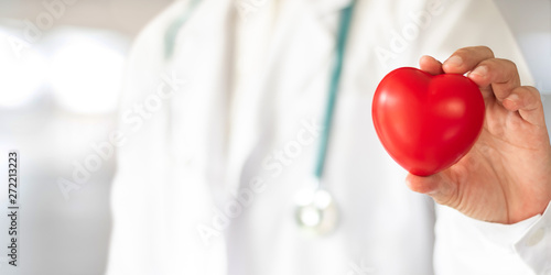 Cardiovascular disease doctor or cardiologist holding red heart in clinic or hospital exam room office for csr professional medical service, cardiology health care and world heart health day concept photo