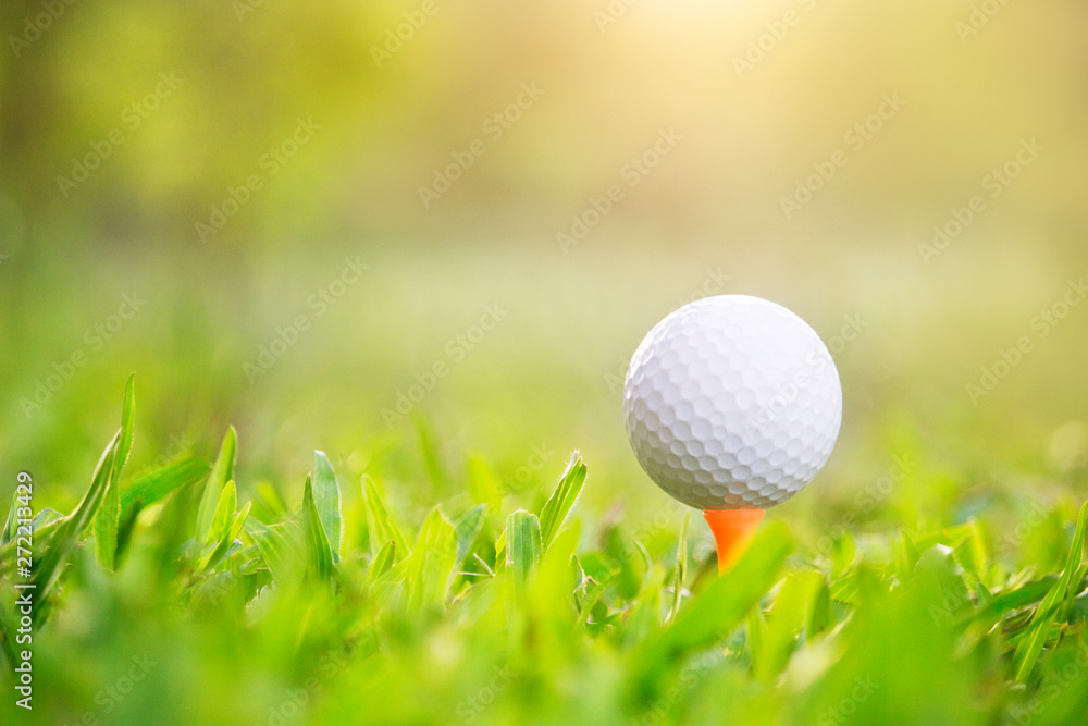 golf ball on tee in a beautiful golf course with morning sunshine golf ball on tee in a beautiful golf course with morning sunshine