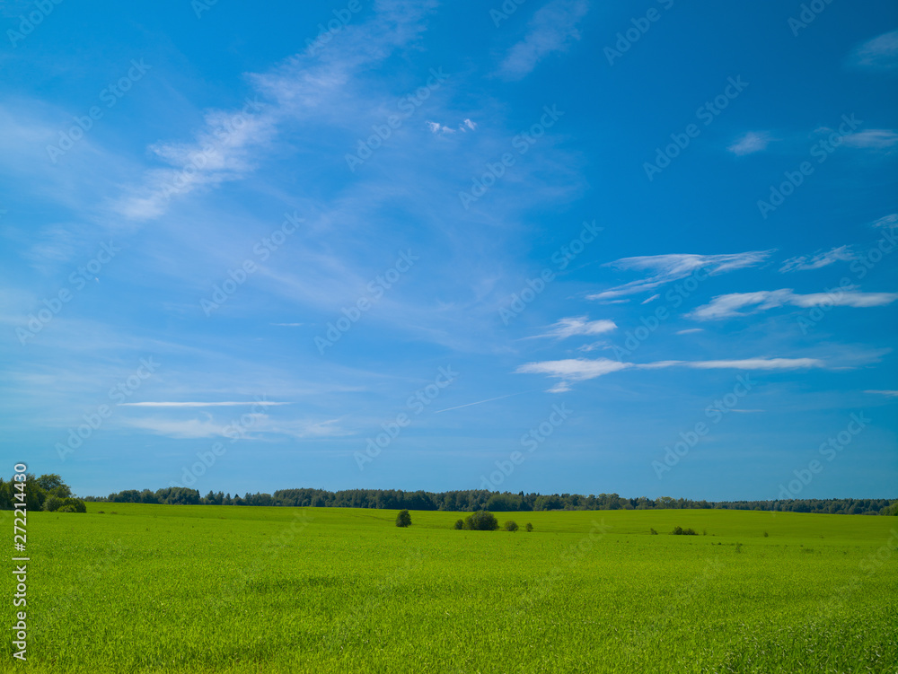 Summer landscape with green field blue sky with clouds