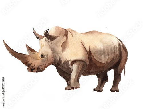 Watercolor realistic rhinoceros animal isolated on a white background illustration.