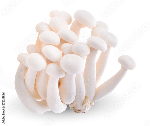 White Bunashimeji mushrooms on white background.