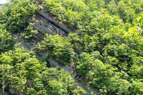 Mountain hill panoramic landscape in the early morning