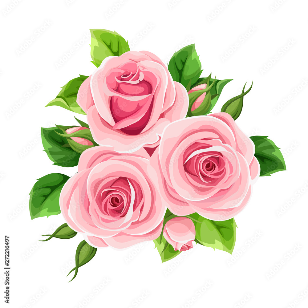 Vector pink roses isolated on a white background.
