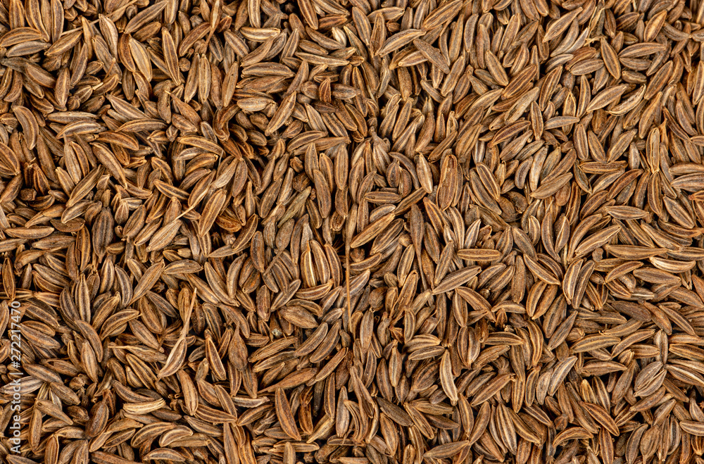 Spice dry cumin Spice dry cumin