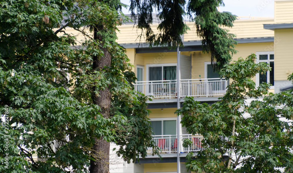 Yellow apartment building behind maples and firs in Redmond town center next to farmer market