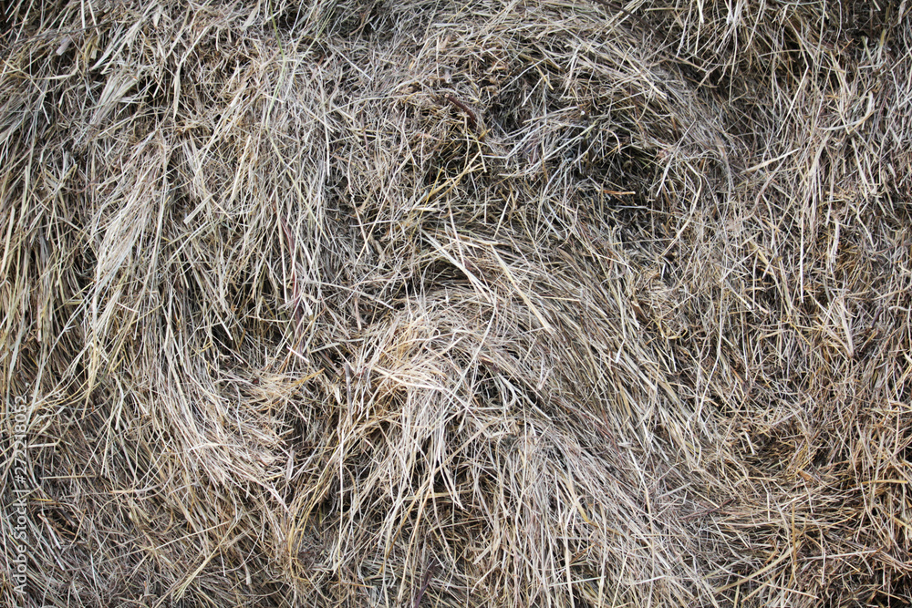 Dry hay bale texture background Dry hay bale texture background