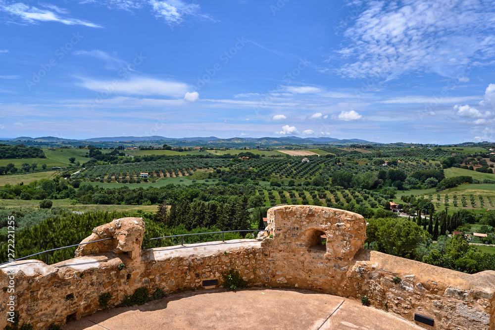 Medieval fortified tower and rural landscape with olives in Tuscany, Italy.
