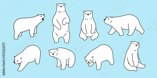 Bear vector polar bear icon logo cartoon character illustration symbol design