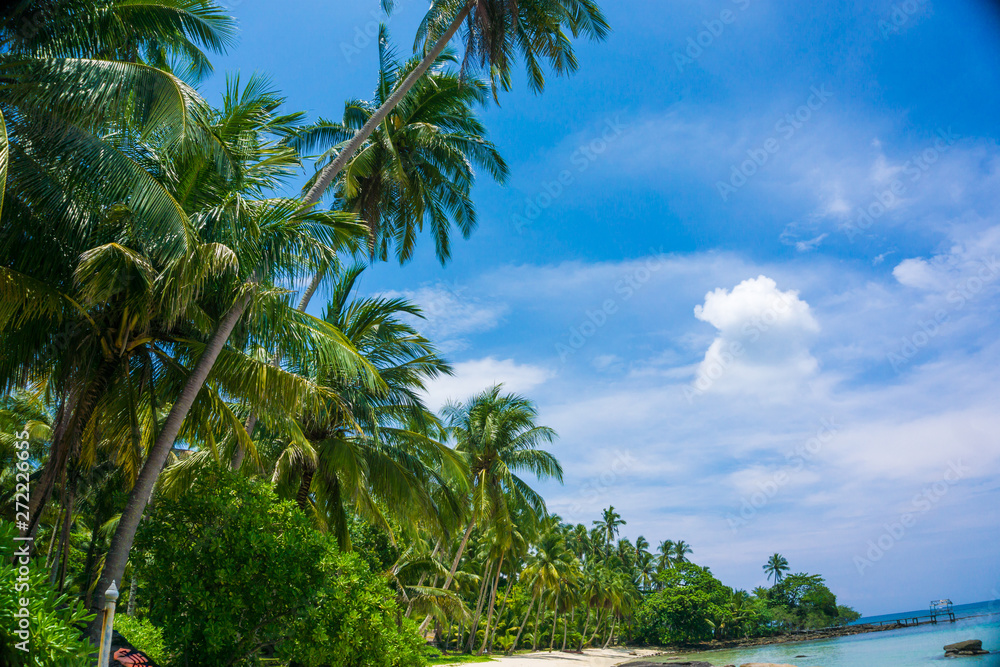 Beautiful sea beach with coconut tree Beautiful sea beach with coconut tree