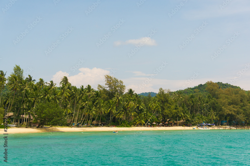 Fototapeta premium Beautiful sea beach with coconut tree