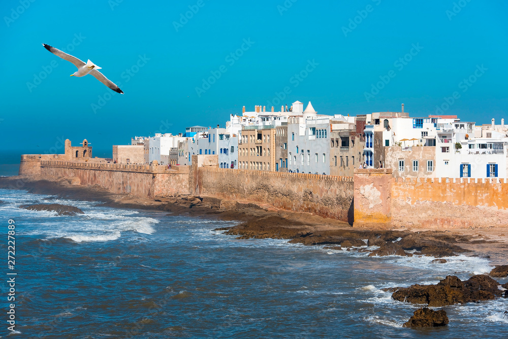 Essaouira, Atlantic Ocean with Seagull  and View of Old Town Medina in Morocco 