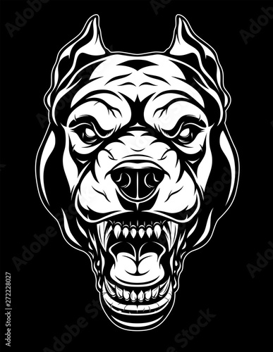 Ferocious pit bull head