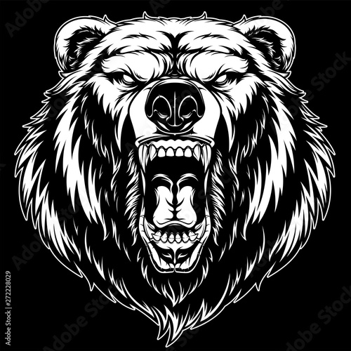  head of a ferocious grizzly bear
