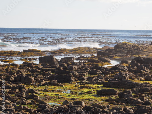 Cape of Good Hope, Cape Point National Park, South Africa