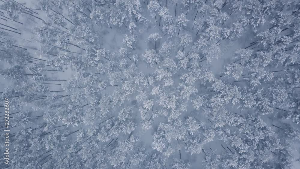 Flight over winter Yaroslavl. Russia. Flight over winter Yaroslavl. Russia.