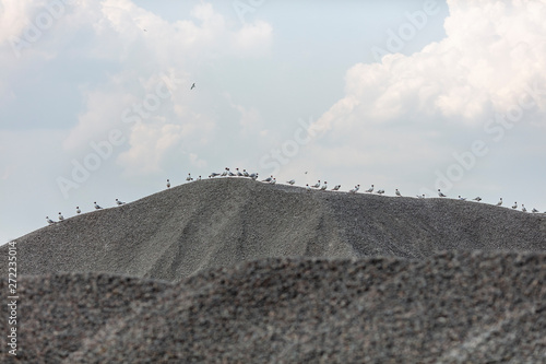 Gulls sit on the top of a hill. Hill of gravel. Gulls against the sky and clouds. Multi-colored hills.