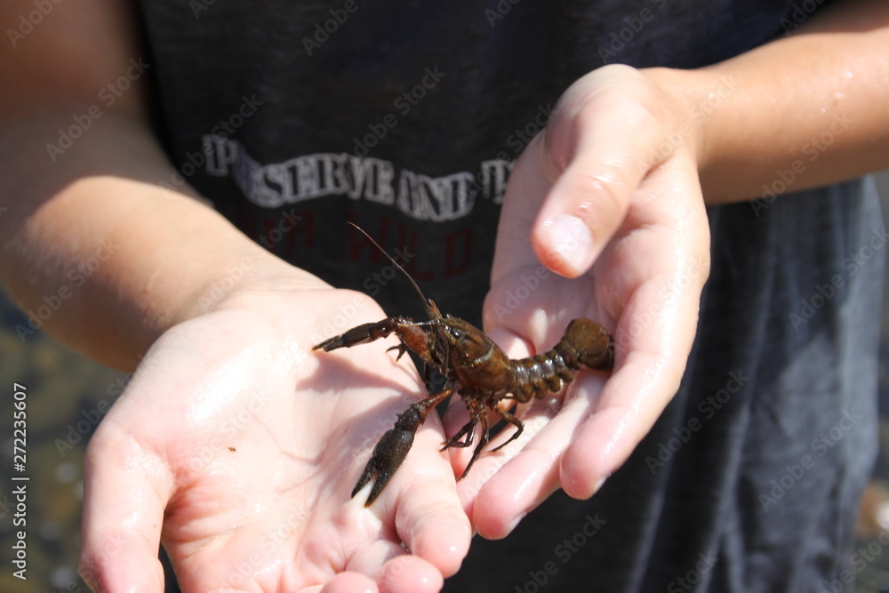 Obraz premium Saint-Sozy Dordogne