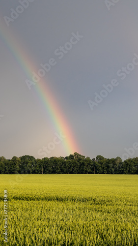 Rainbow © Павел Печёнкин