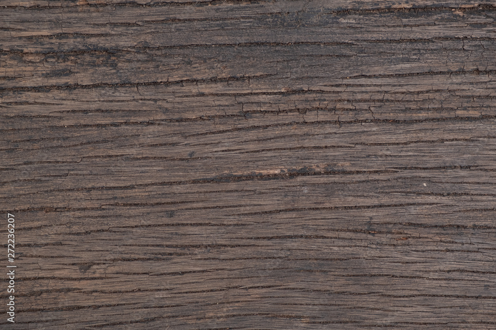 wood texture. background wood texture. background