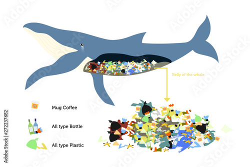 infographic animal sea