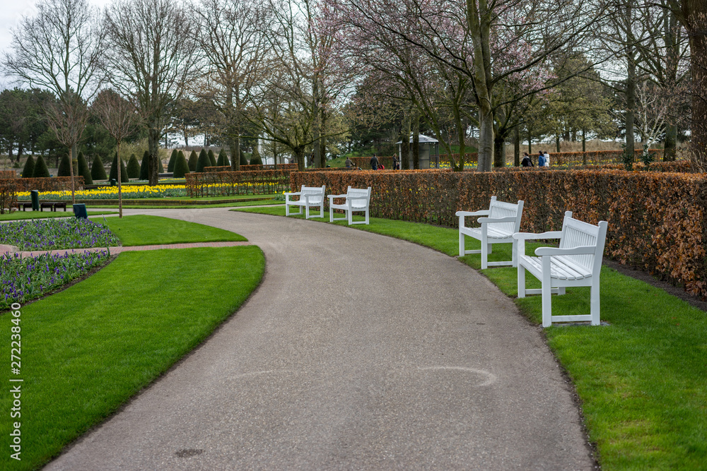 Flower garden, Netherlands , a bench in a park