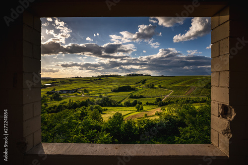 Фототапет Stadecken-Elsheim, Rheinhessen