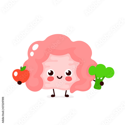 Cute healthy happy Intestine character  © svtdesign