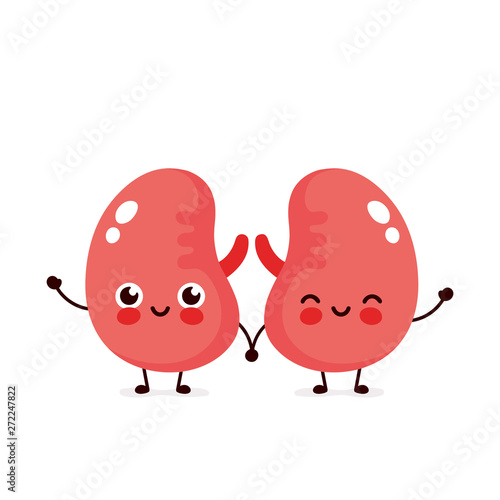 Strong cute healthy happy kidneys 