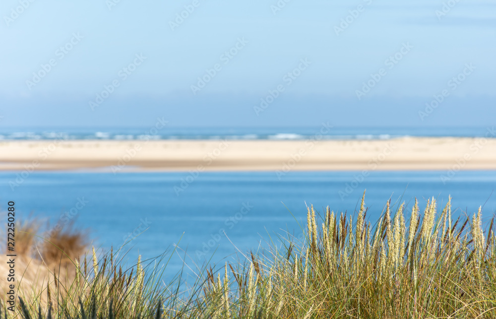 BASSIN D'ARCACHON (France), le banc d'Arguin vu de la dune du Pilat BASSIN D'ARCACHON (France), le banc d'Arguin vu de la dune du Pilat