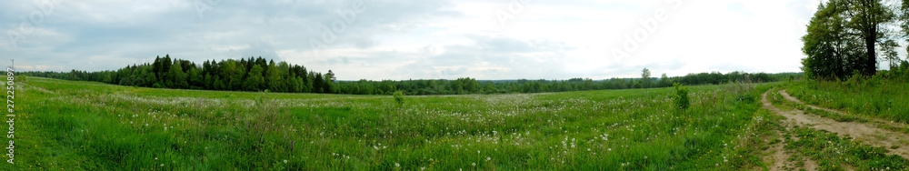Panorama of the summer meadow of a countryside road and forest edge Panorama of the summer meadow of a countryside road and forest edge