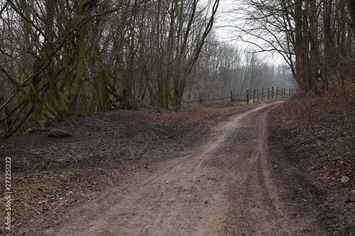 Muddy autumn forest road with farm fence in background. Forest way with car tire imprints in muddy terrain and trees on the edges. Muddy forest-road in rainy autumn weather. Forest way in beechwood. photo