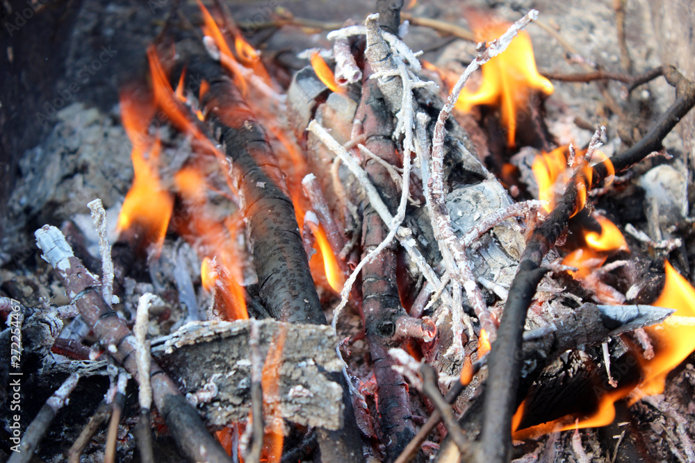 Fire with burning branches and flames close-up. Fire with burning branches and flames close-up.