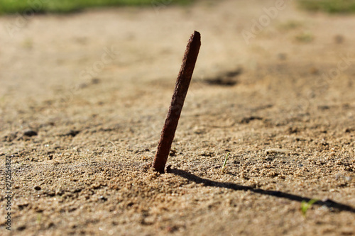 Sharp and old rusty nail sticking out of the ground.
