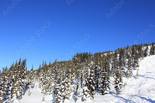 Sunny day like in a winterwonderland in beautiful whistler in canada, british columbia