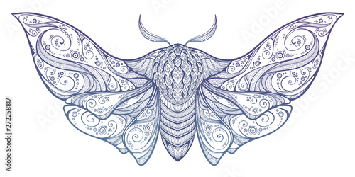 Abstract mystical Moth in psychedelic design. Vector illustration.
