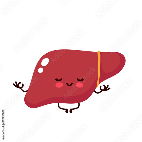 Strong cute healthy happy human liver