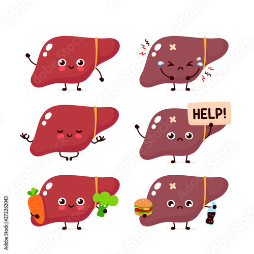 Human liver organ set collection. Vector