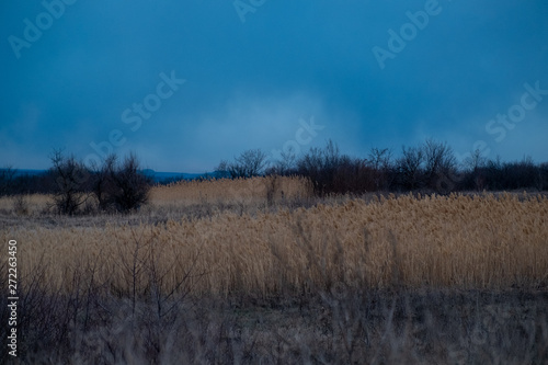 Dark field, 4km fron Horlovka frontline, Donbass, Ukraine photo