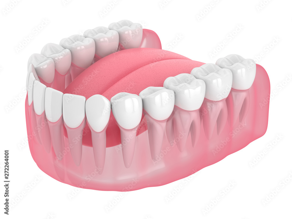 Fototapeta premium 3d render of lower jaw with teeth