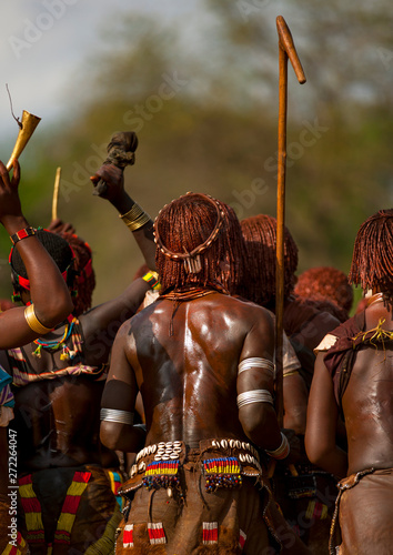 Hamer tribe women dancing during bull jumping ceremony, Turmi, Omo valley, Ethiopia photo