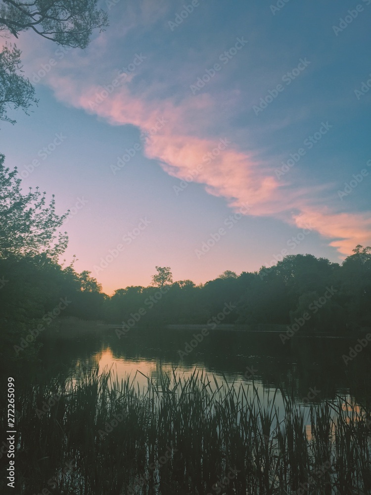 Fototapeta premium sky