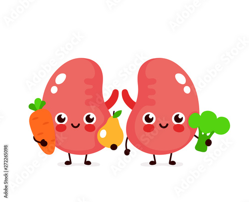 Cute healthy happy kidneys character