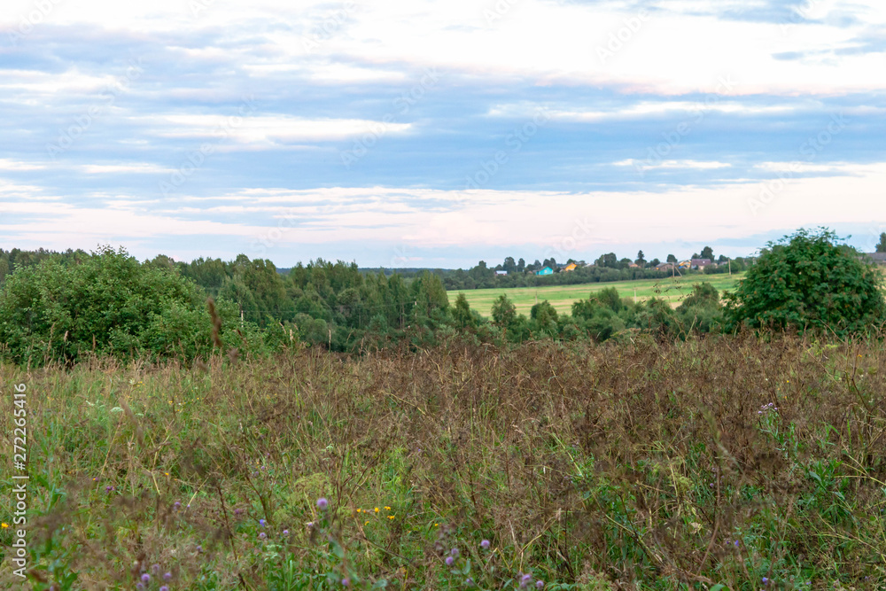 Obraz premium Nature landscape of purple blue and pink twilight evening sunset at rural village green field.