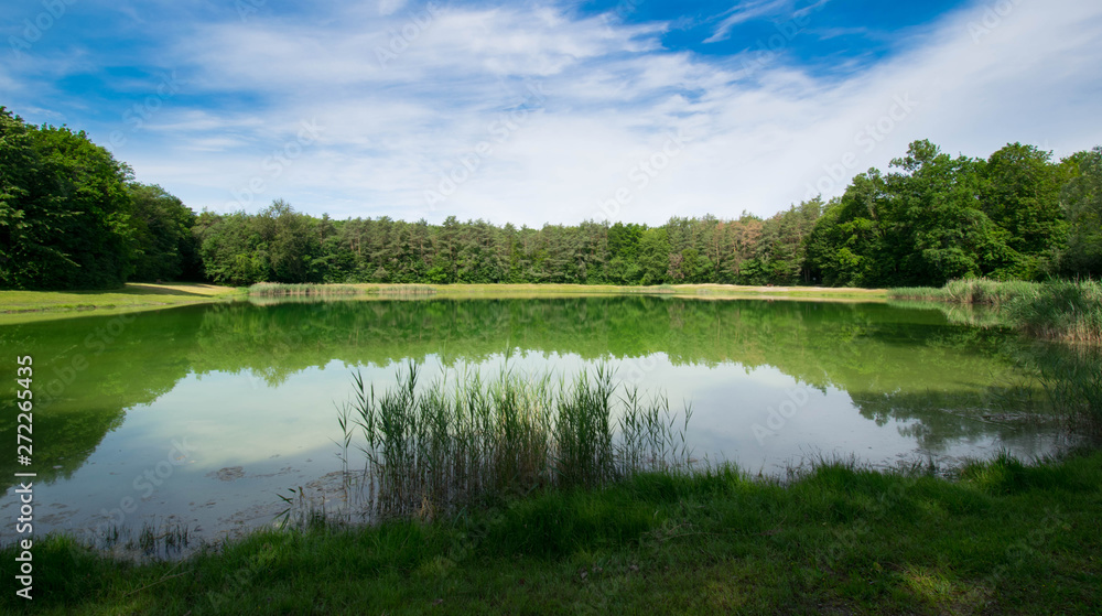 Fototapeta premium Die Rheinauen bei Sasbach im Kaiserstuhl