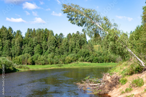 summer river shore landscape. Sandy beach on banks, green grass and trees, blue river and cloudy sky