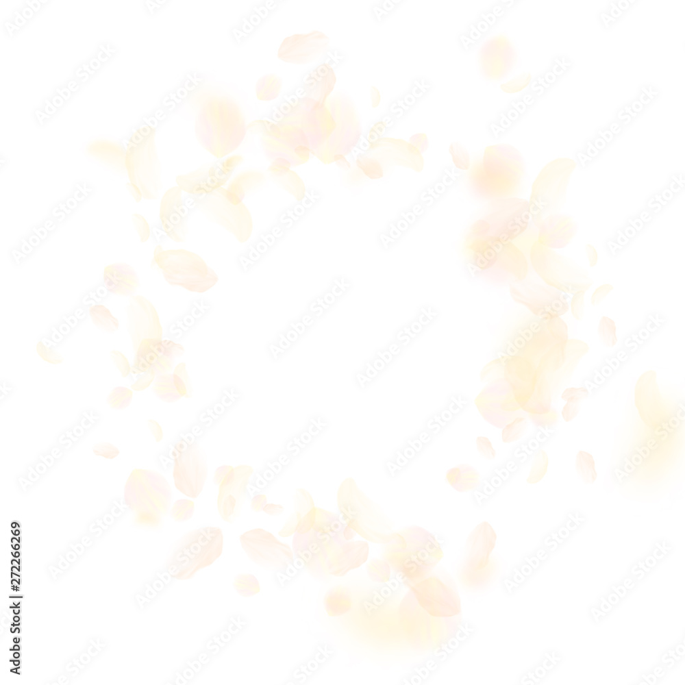 Yellow orange flower petals falling down. Yellow orange flower petals falling down.