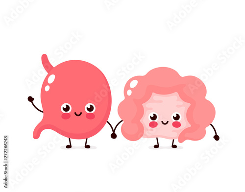 Strong cute healthy happy Intestine gut