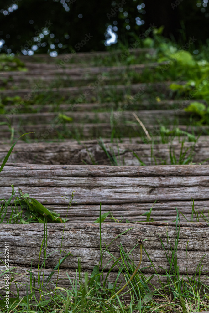 Fototapeta premium Stairs