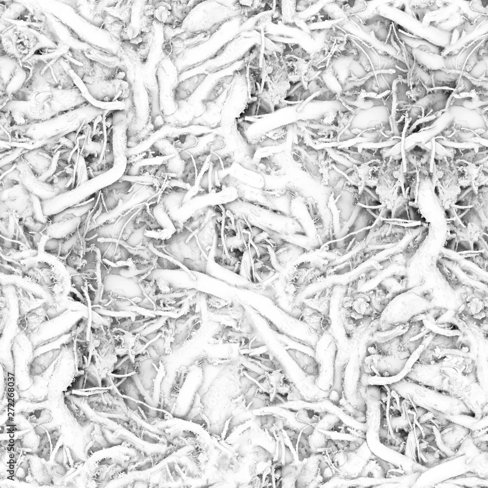 Microbes and various microorganisms under strong microscope magnification.Texture or background Microbes and various microorganisms under strong microscope magnification.Texture or background