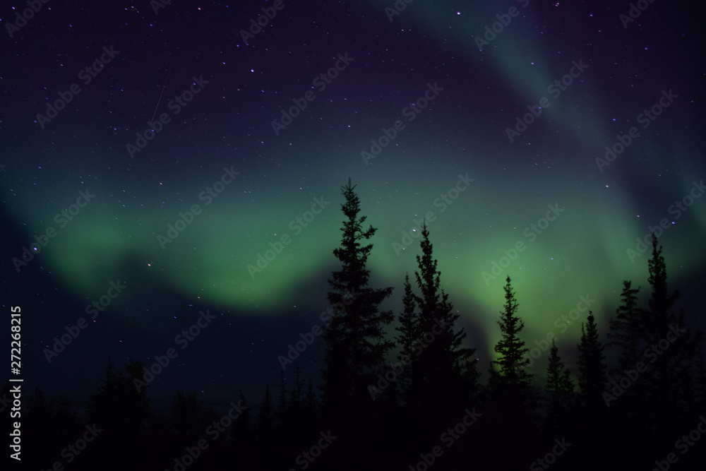 Fototapeta premium Great Northern Lights in Yellowknife, Northwest Territories, Canada